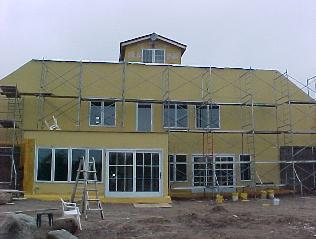 Goldfronts.jpg (15268 bytes)