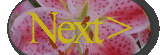 next.gif (72858 bytes)