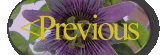 prev.gif (78107 bytes)