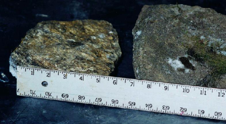 rock1.jpg (241429 bytes)